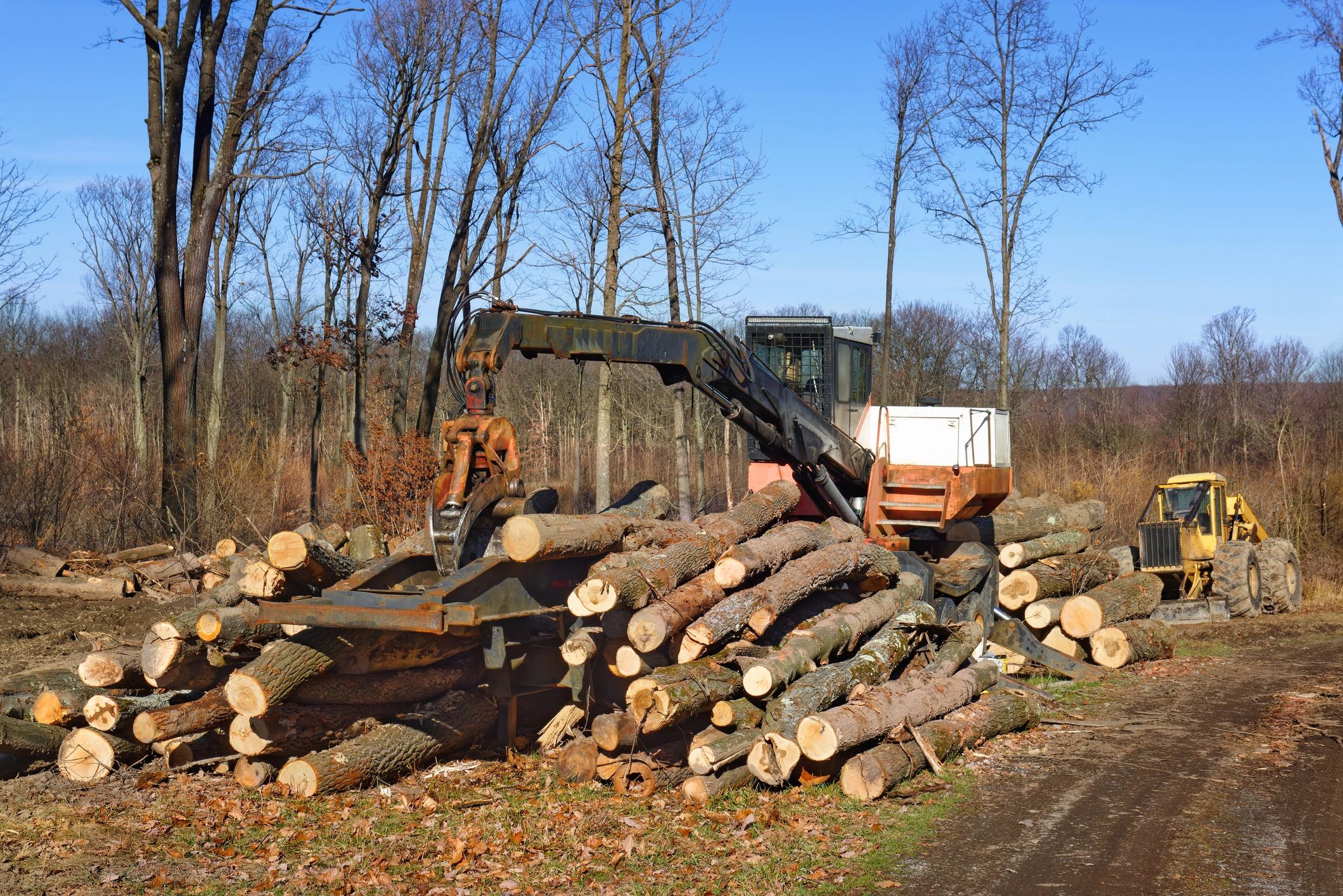 Logging equipment on a forest work site