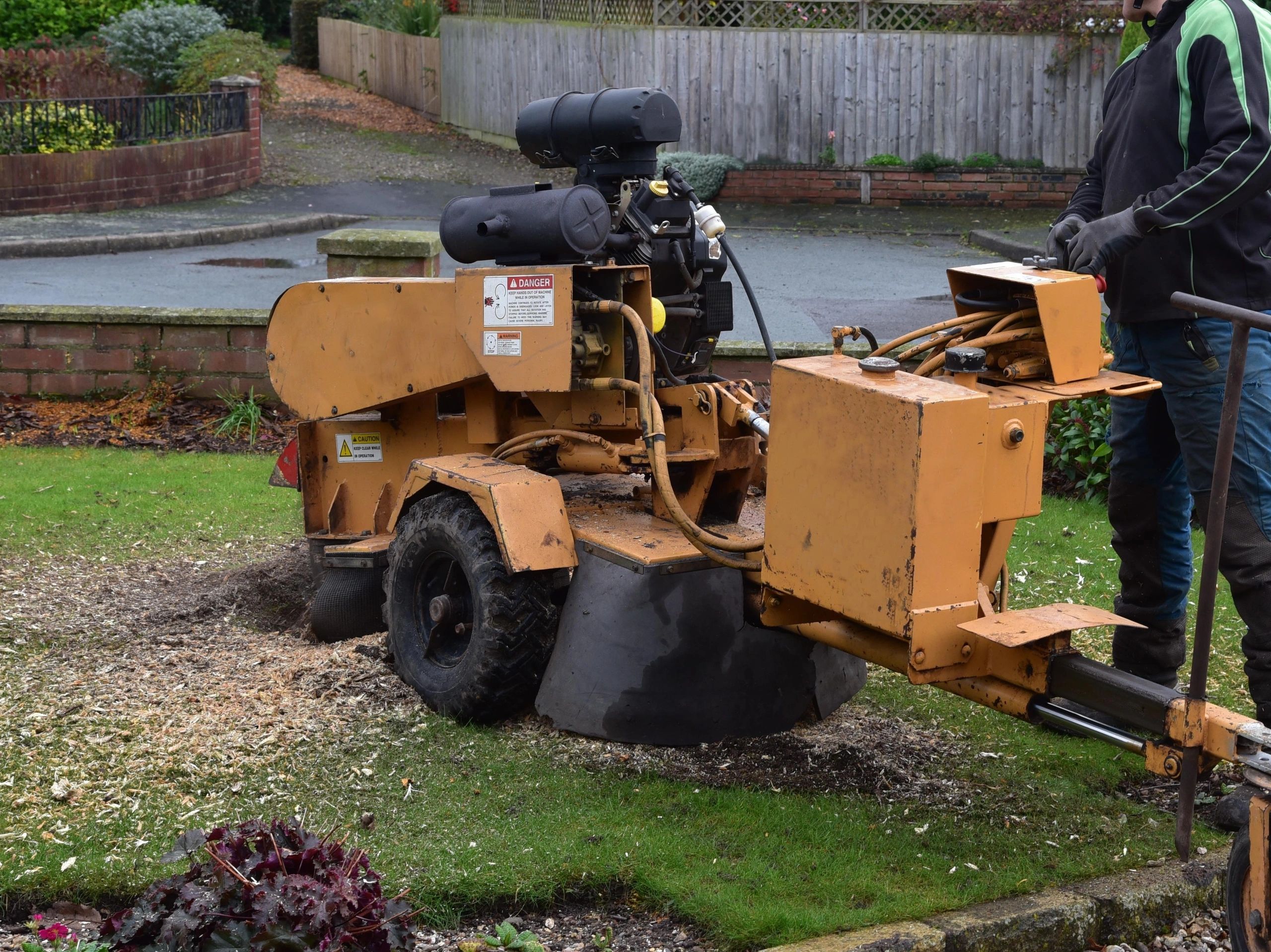 Stump grinding in progress with wood chips around the stump
